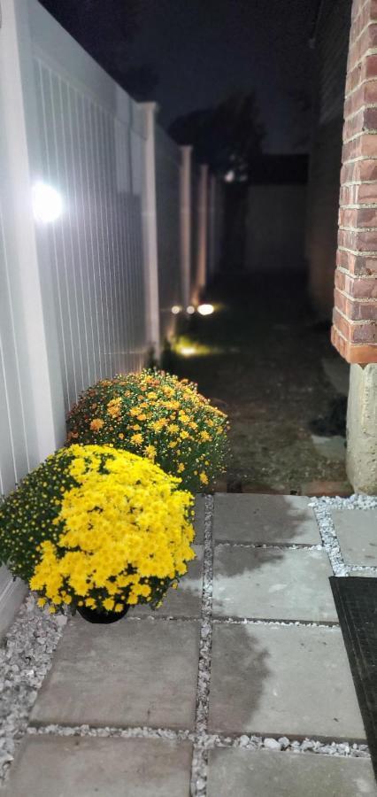 Eleg Stu Apt With Lux Amnts Steps Frm Nautical Mile Freeport Buitenkant foto